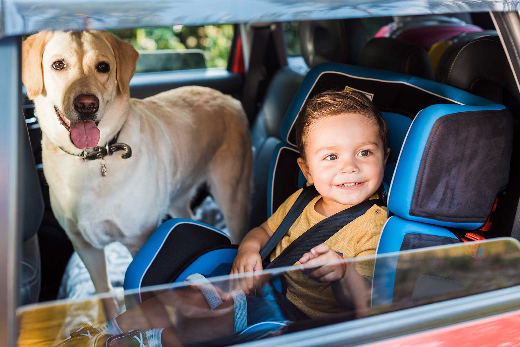 "A young boy and a dog sit side by side, happily looking out a window. The boy is smiling, and the dog appears content, both bathed in soft natural light."
