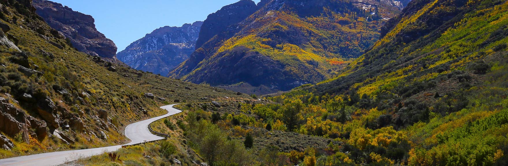A sunlit road winds through Lamoille Canyon in Nevada, surrounded by rocky terrain and vibrant greenery, with towering mountains rising in the background under a clear blue sky.