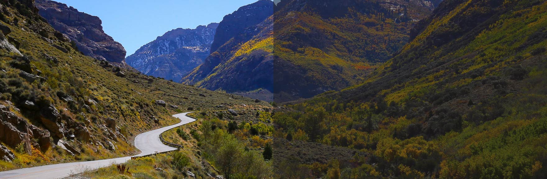 A sunlit road winds through Lamoille Canyon in Nevada, surrounded by rocky terrain and vibrant greenery, with towering mountains rising in the background under a clear blue sky